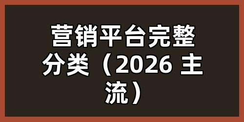 营销平台完整分类（2026 主流）